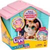 71dbjauhDjL._AC_SL1500_ Little Live Pets My Kitty's Home Minis Playset – Surprise Plush Kitten House Toy for Kids