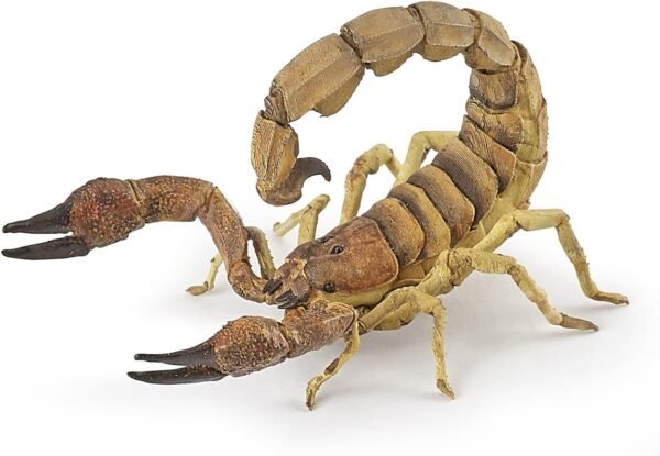 61R7cAlhm3L._AC_SL1500_ Papo Scorpion Figurine